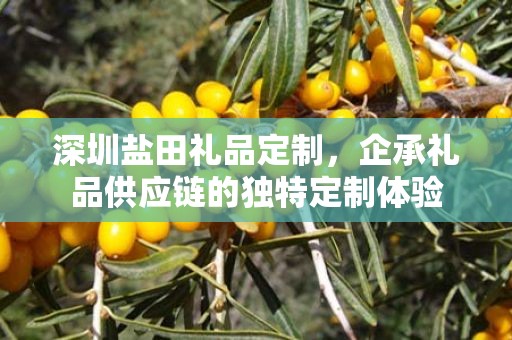 深圳盐田礼品定制，企承礼品供应链的独特定制体验